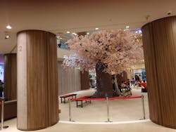 SPAWORLD HOTEL＆RESORT(スパワールド ホテルアンドリゾート)に投稿された画像（2025/3/16）