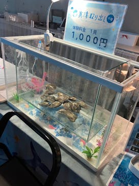 大分マリーンパレス水族館 「うみたまご」に投稿された画像（2025/3/16）