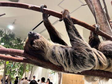 Moff animal cafe イオンモール新利府店に投稿された画像（2025/3/16）