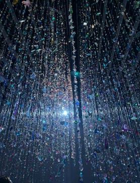 蜷川実花展 with EiM：彼岸の光、此岸の影 NINAGAWA Mika with EiM：Lights of the beyond, Shadows of this worldに投稿された画像（2025/3/16）