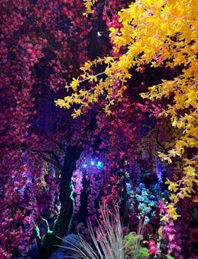 蜷川実花展 with EiM：彼岸の光、此岸の影 NINAGAWA Mika with EiM：Lights of the beyond, Shadows of this worldに投稿された画像（2025/3/16）