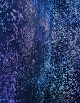 蜷川実花展 with EiM：彼岸の光、此岸の影 NINAGAWA Mika with EiM：Lights of the beyond, Shadows of this worldに投稿された画像（2025/3/16）