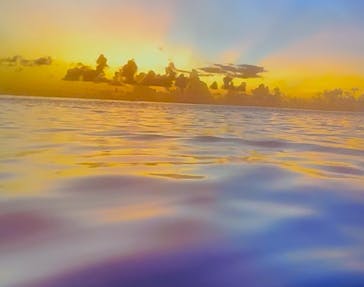 蜷川実花展 with EiM：彼岸の光、此岸の影 NINAGAWA Mika with EiM：Lights of the beyond, Shadows of this worldに投稿された画像（2025/3/16）