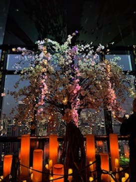 東京タワーに投稿された画像（2025/3/16）