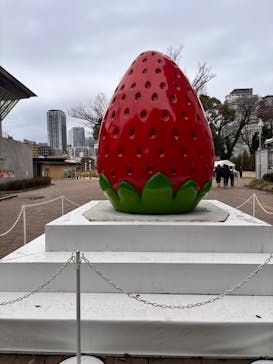 OSAKA Strawberry Festivalに投稿された画像（2025/3/16）