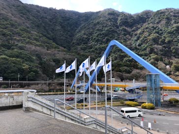 大分マリーンパレス水族館 「うみたまご」に投稿された画像（2025/3/16）