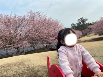 伊豆ぐらんぱる公園に投稿された画像（2025/3/16）