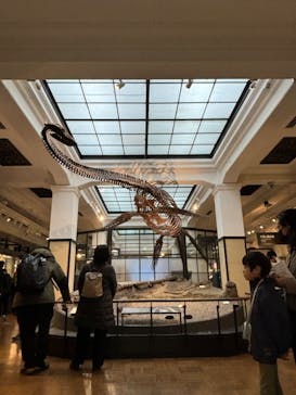 国立科学博物館に投稿された画像（2025/3/16）