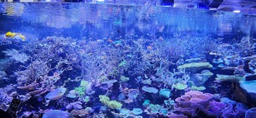 名古屋港水族館に投稿された画像（2025/3/16）