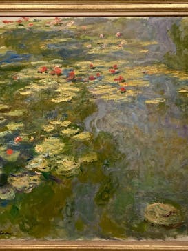 モネ　睡蓮のときに投稿された画像（2025/3/16）