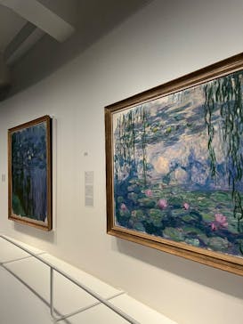 モネ　睡蓮のときに投稿された画像（2025/3/16）