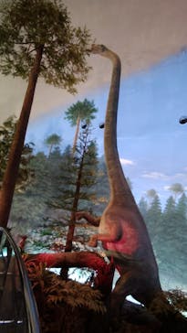 福井県立恐竜博物館に投稿された画像（2025/3/16）