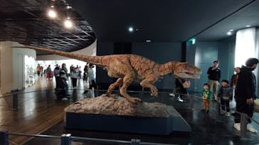 福井県立恐竜博物館に投稿された画像（2025/3/16）