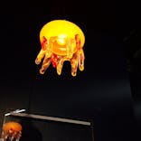 京都水族館に投稿された画像（2025/3/16）