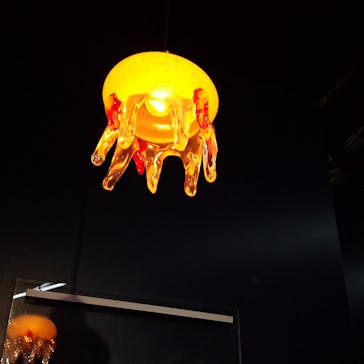 京都水族館に投稿された画像（2025/3/16）