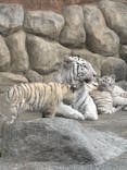 東武動物公園に投稿された画像（2025/3/16）
