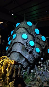 金曜ロードショーとジブリ展　三重展に投稿された画像（2025/3/16）