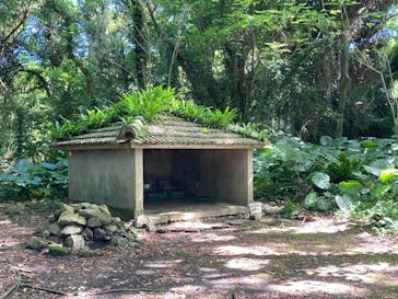 今帰仁城跡に投稿された画像（2025/3/16）