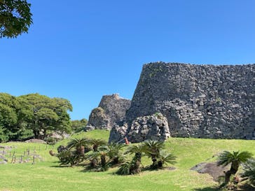 今帰仁城跡に投稿された画像（2025/3/16）