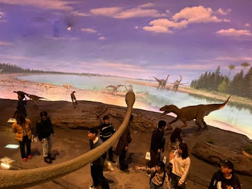 福井県立恐竜博物館に投稿された画像（2025/3/16）