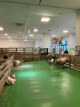 Moff animal world BIGHOPガーデンモール印西店に投稿された画像（2025/3/16）