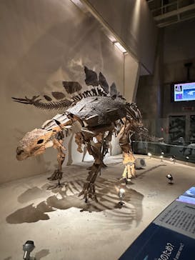 国立科学博物館に投稿された画像（2025/3/16）