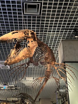 国立科学博物館に投稿された画像（2025/3/16）