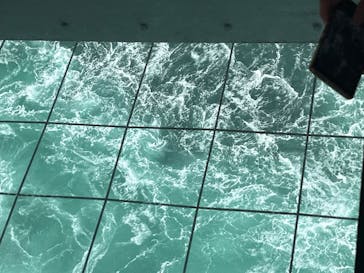 徳島県立 渦の道に投稿された画像（2025/3/16）