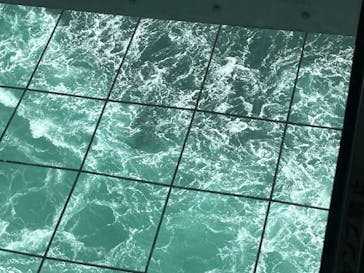 徳島県立 渦の道に投稿された画像（2025/3/16）