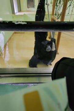 名古屋市東山動植物園に投稿された画像（2025/3/16）