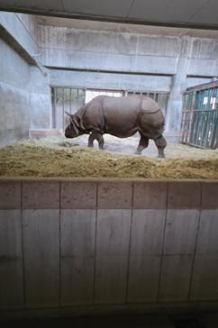 名古屋市東山動植物園に投稿された画像（2025/3/16）