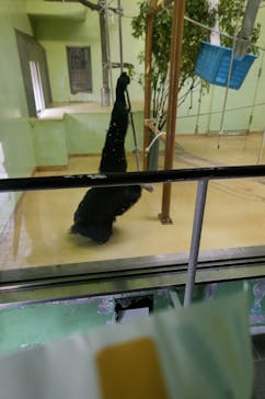 名古屋市東山動植物園に投稿された画像（2025/3/16）