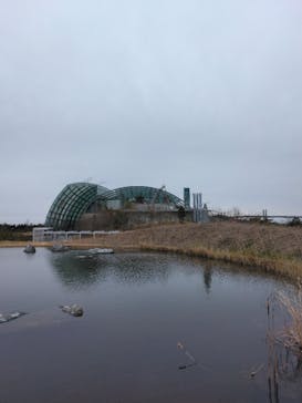 環境水族館アクアマリンふくしまに投稿された画像（2025/3/16）