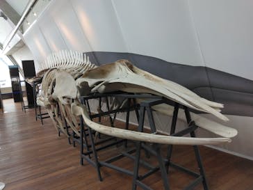 環境水族館アクアマリンふくしまに投稿された画像（2025/3/16）