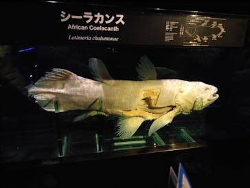 環境水族館アクアマリンふくしまに投稿された画像（2025/3/16）