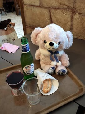 野外民族博物館 リトルワールドに投稿された画像（2025/3/16）