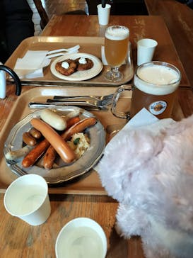 野外民族博物館 リトルワールドに投稿された画像（2025/3/16）