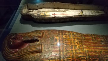 ブルックリン博物館所蔵 特別展 古代エジプトに投稿された画像（2025/3/16）