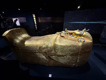MYSTERY OF TUTANKHAMEN 体感型古代エジプト展に投稿された画像（2025/3/16）