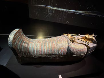 MYSTERY OF TUTANKHAMEN 体感型古代エジプト展に投稿された画像（2025/3/16）