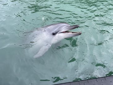 太地町立くじらの博物館に投稿された画像（2025/3/16）