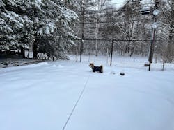 軽井沢スノーパークに投稿された画像（2025/3/16）