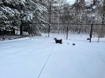 軽井沢スノーパークに投稿された画像（2025/3/16）