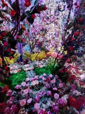 蜷川実花展 with EiM：彼岸の光、此岸の影 NINAGAWA Mika with EiM：Lights of the beyond, Shadows of this worldに投稿された画像（2025/3/16）