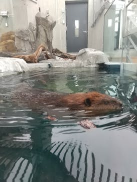 AQUARIUM × ART　atoaに投稿された画像（2025/3/16）