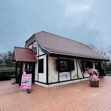 野外民族博物館 リトルワールドに投稿された画像（2025/3/16）