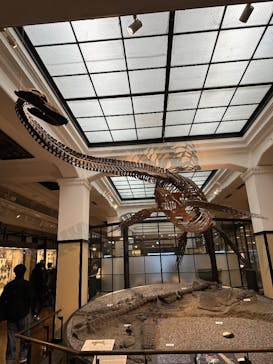 国立科学博物館に投稿された画像（2025/3/16）