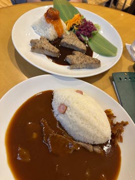 国立科学博物館に投稿された画像（2025/3/16）