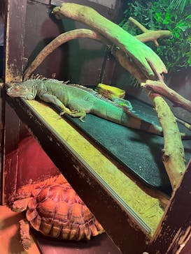 Moff animal cafe イオンモール幕張新都心店に投稿された画像（2025/3/16）