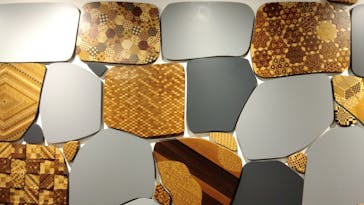 小田原城に投稿された画像（2025/3/16）